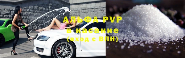 ГАЛЛЮЦИНОГЕННЫЕ ГРИБЫ Аркадак