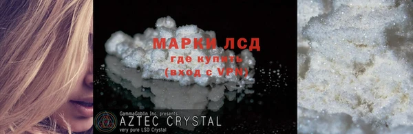 ГАЛЛЮЦИНОГЕННЫЕ ГРИБЫ Аркадак