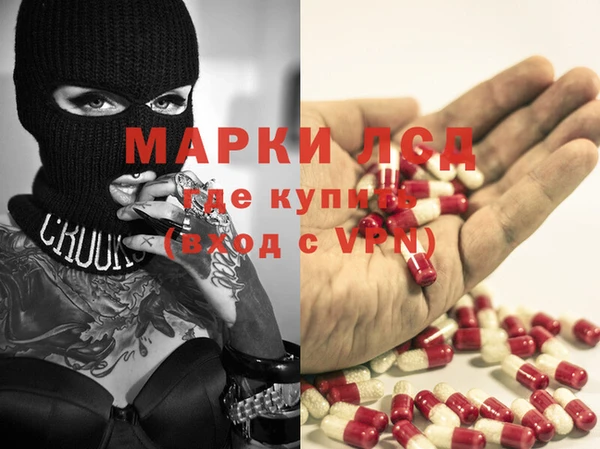 ГАЛЛЮЦИНОГЕННЫЕ ГРИБЫ Аркадак