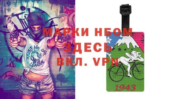 ГАЛЛЮЦИНОГЕННЫЕ ГРИБЫ Аркадак