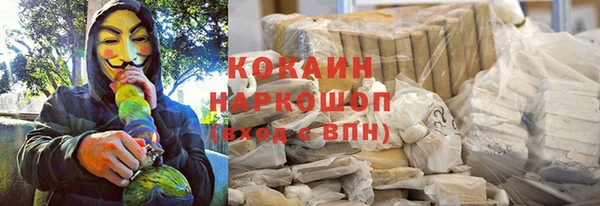 ГАЛЛЮЦИНОГЕННЫЕ ГРИБЫ Аркадак